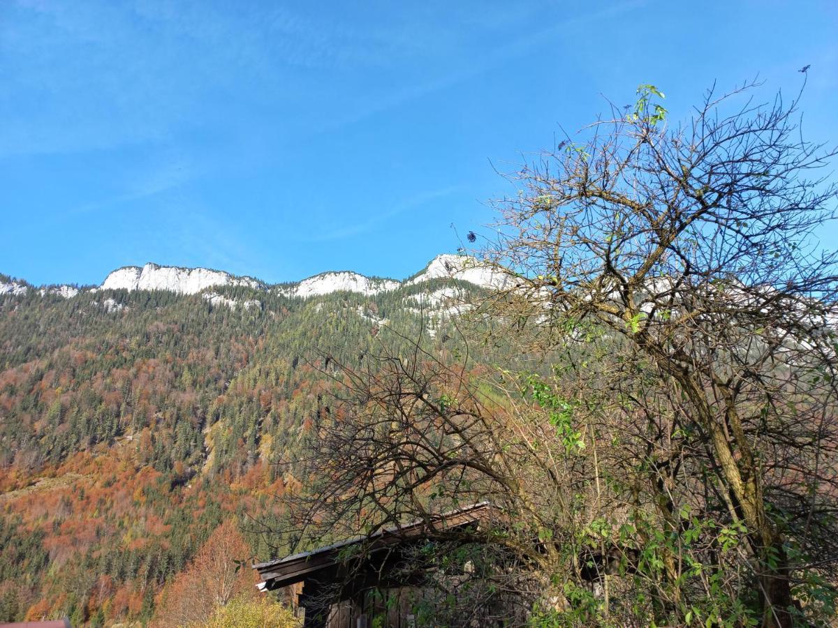 Ferienwohnung Am Wald Вайдринг Экстерьер фото