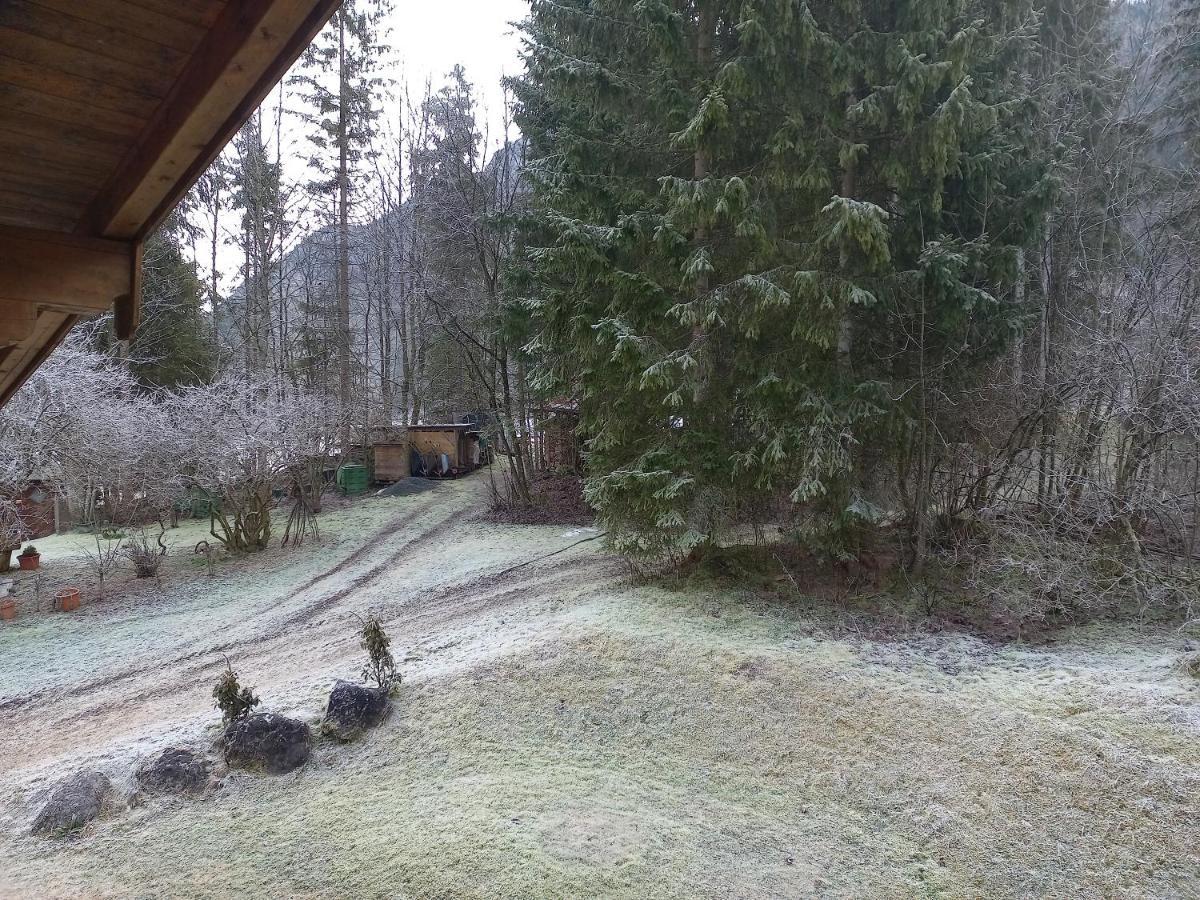 Ferienwohnung Am Wald Вайдринг Экстерьер фото
